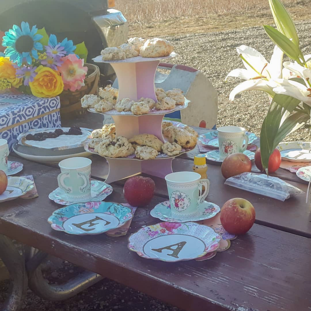 Tea Party In A Box Kit