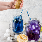 Butterfly Pea Flower Blossom Tea