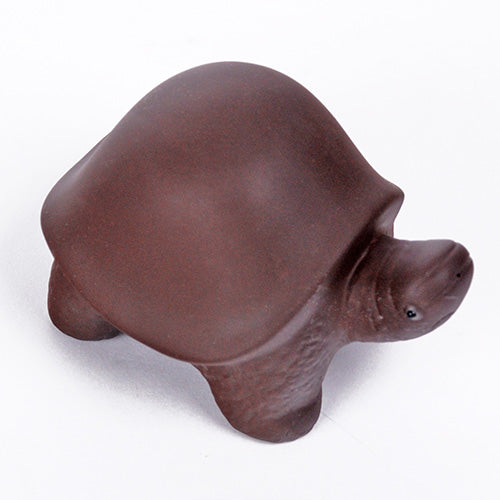 Tea Pet: Turtle