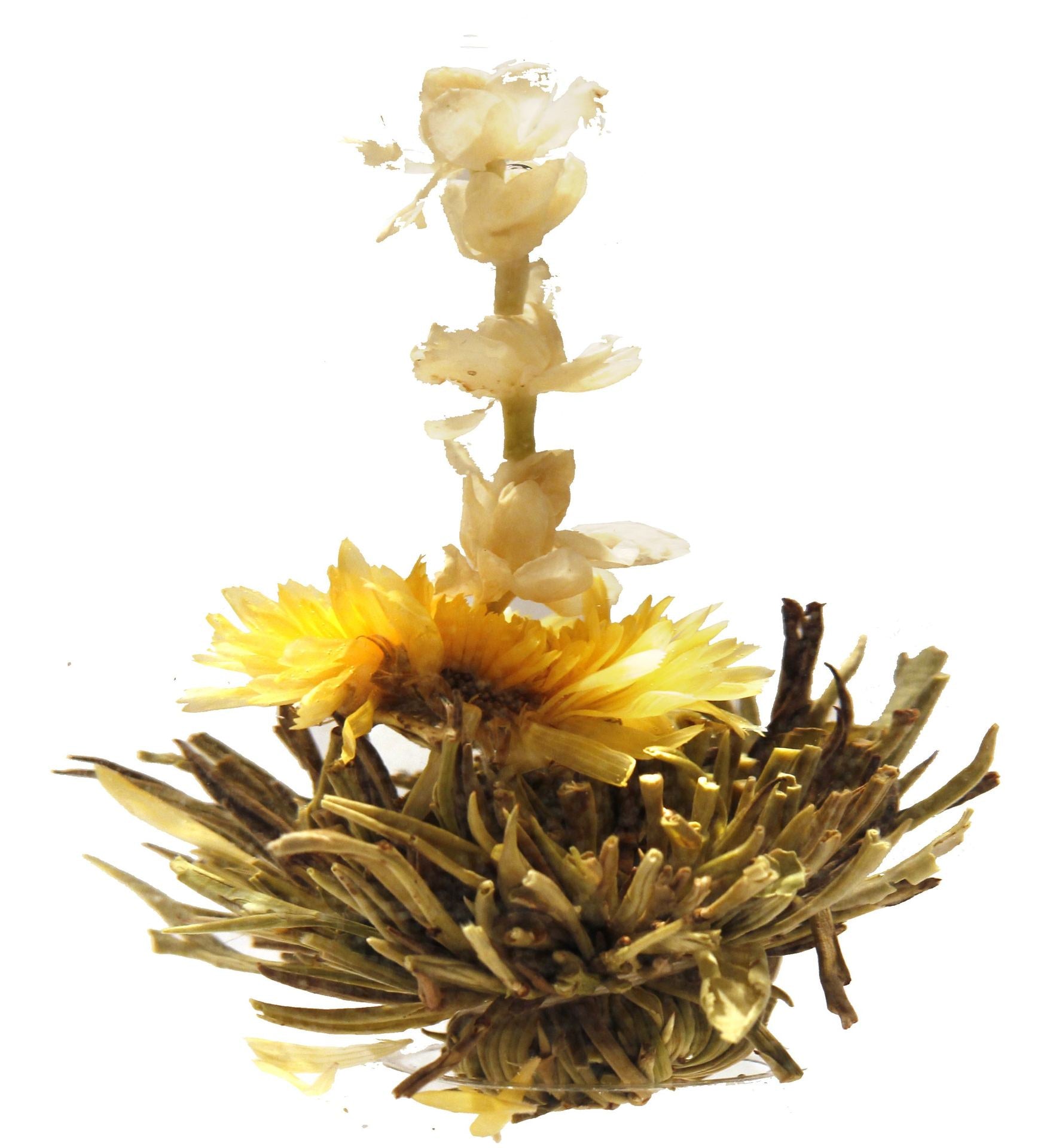 Rising Sun Blooming Art Tea