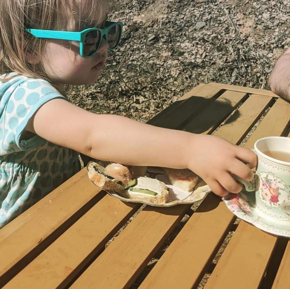 Tea Party In A Box Kit