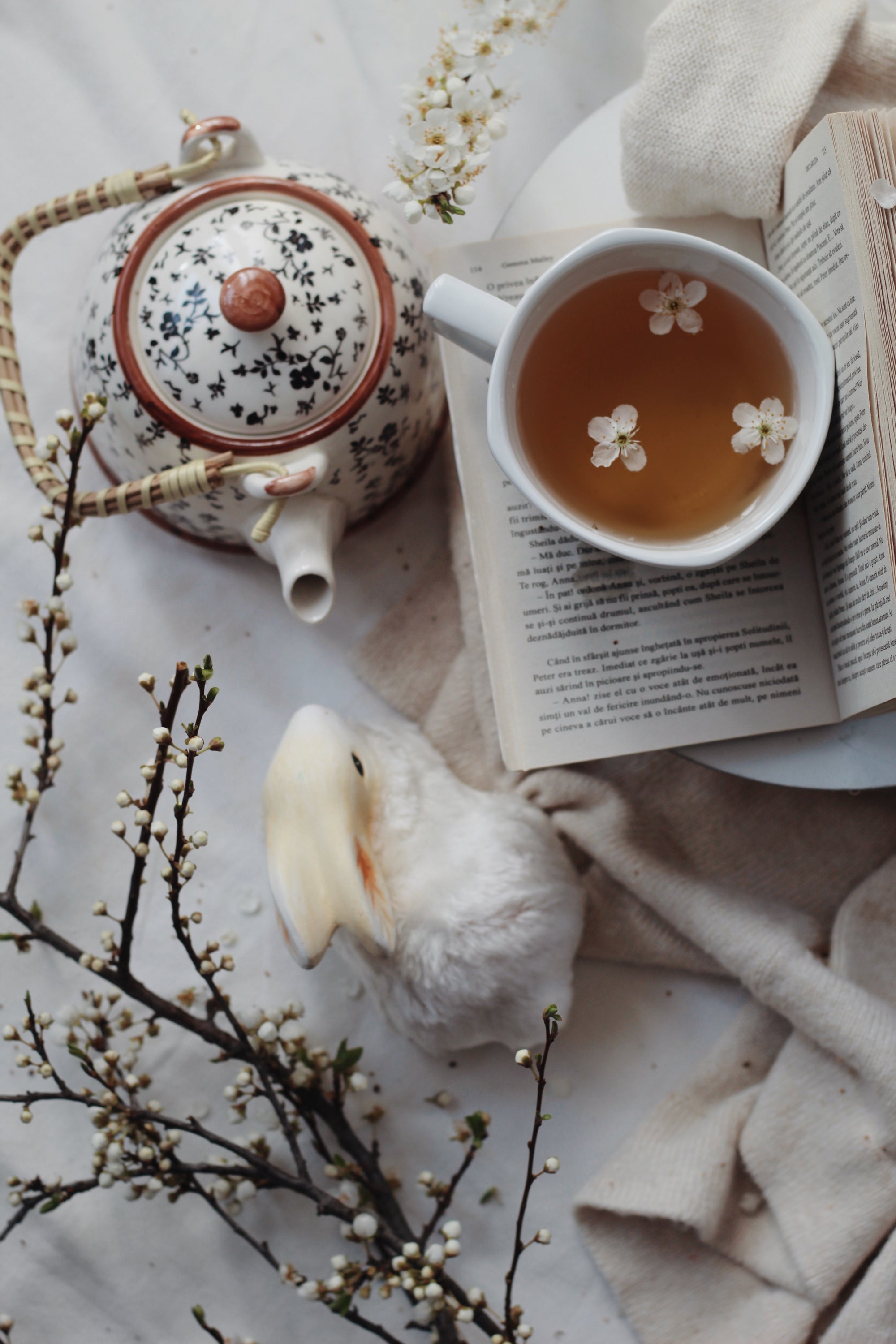Spring Has Sprung! Here Are The Teas You Need For This Season Of New Growth