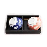 Red and Blue Cloud Bowls and Chopsticks: Set for 2