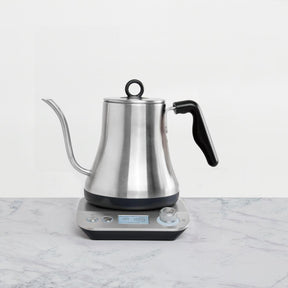 Electric Gooseneck Digital Kettle 0.8L