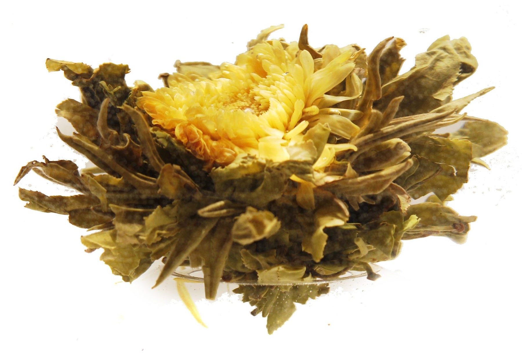 Golden Blessing Blooming Art Tea